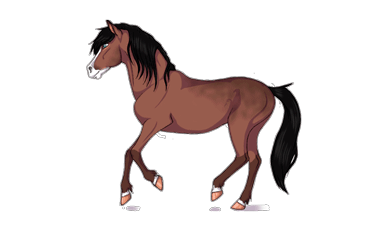 gif-horse