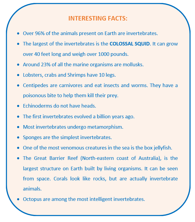 9. Invertebrates in Education